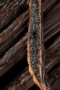Madagascar Bourbon Vanilla Beans