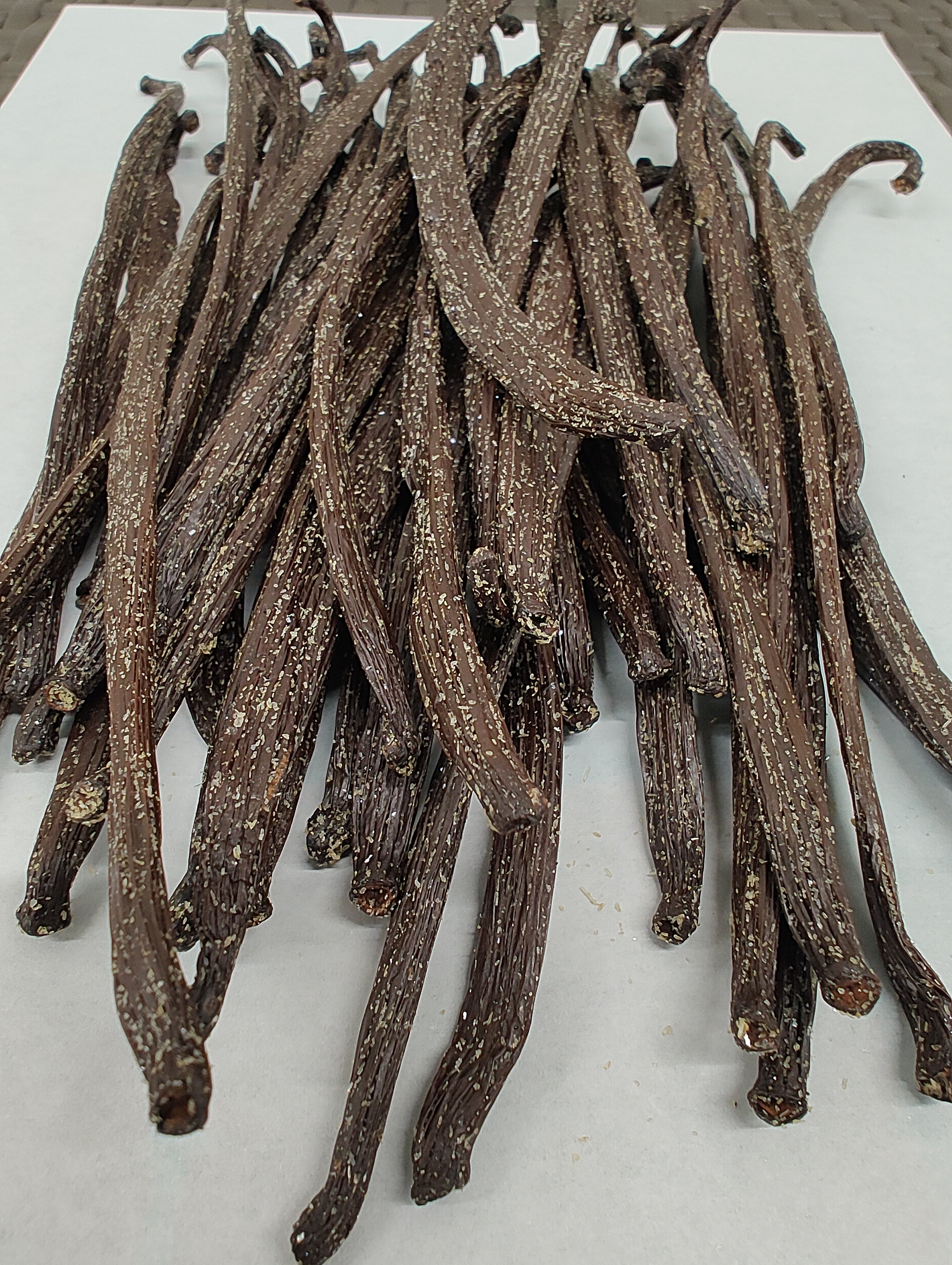 Neukaledonische Frosted Vanilleschoten (3 Stück)